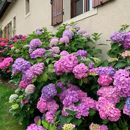 Ferienhaus Lovely 8 Persons House In *